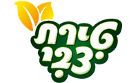 טירת צבי